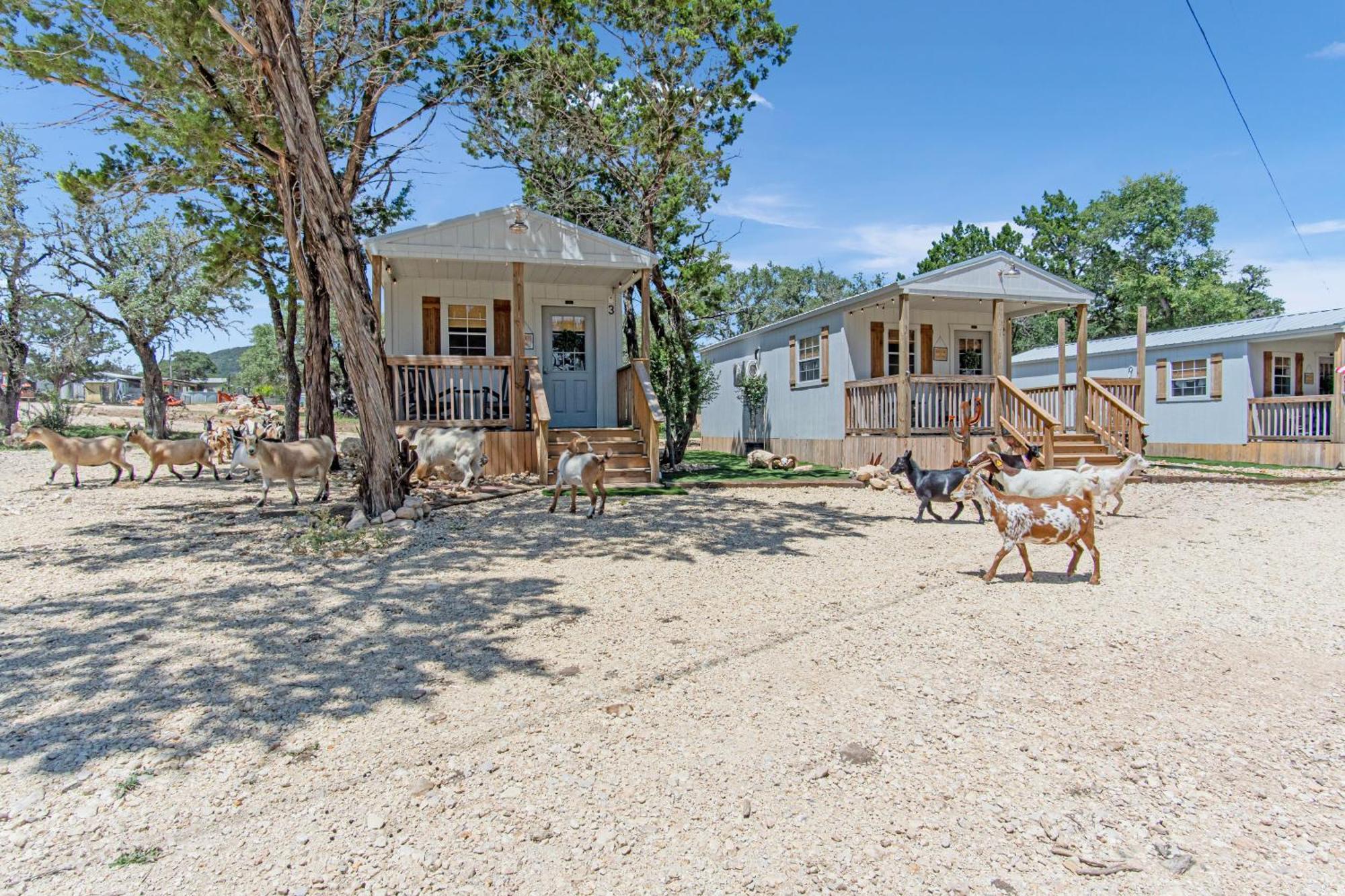 Lucky Star Ranch - Stargazer Hotel Tarpley Екстериор снимка
